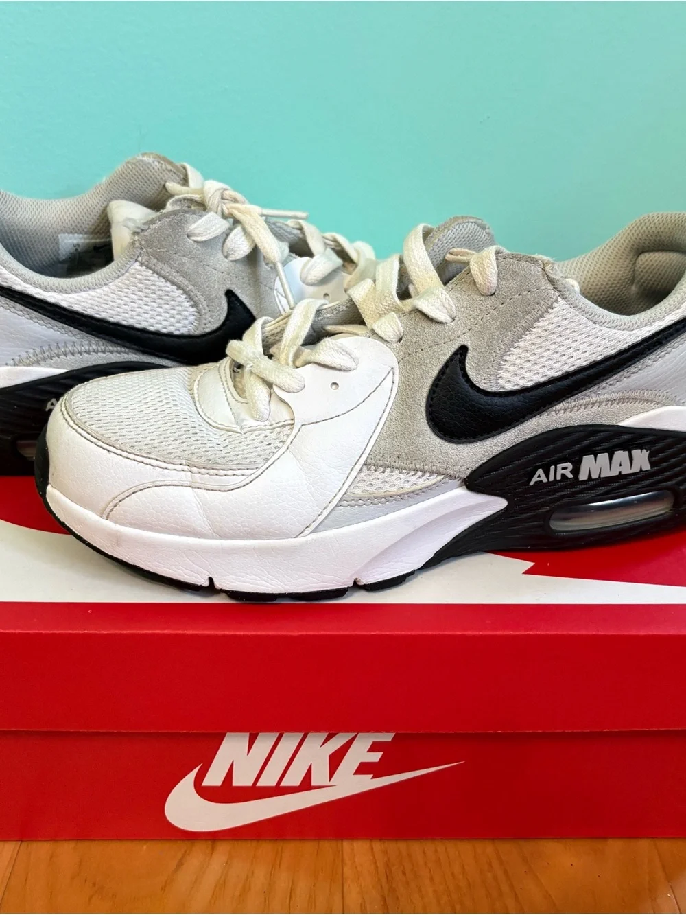 Nike Air Max Excee Men's White, Black, Platinum